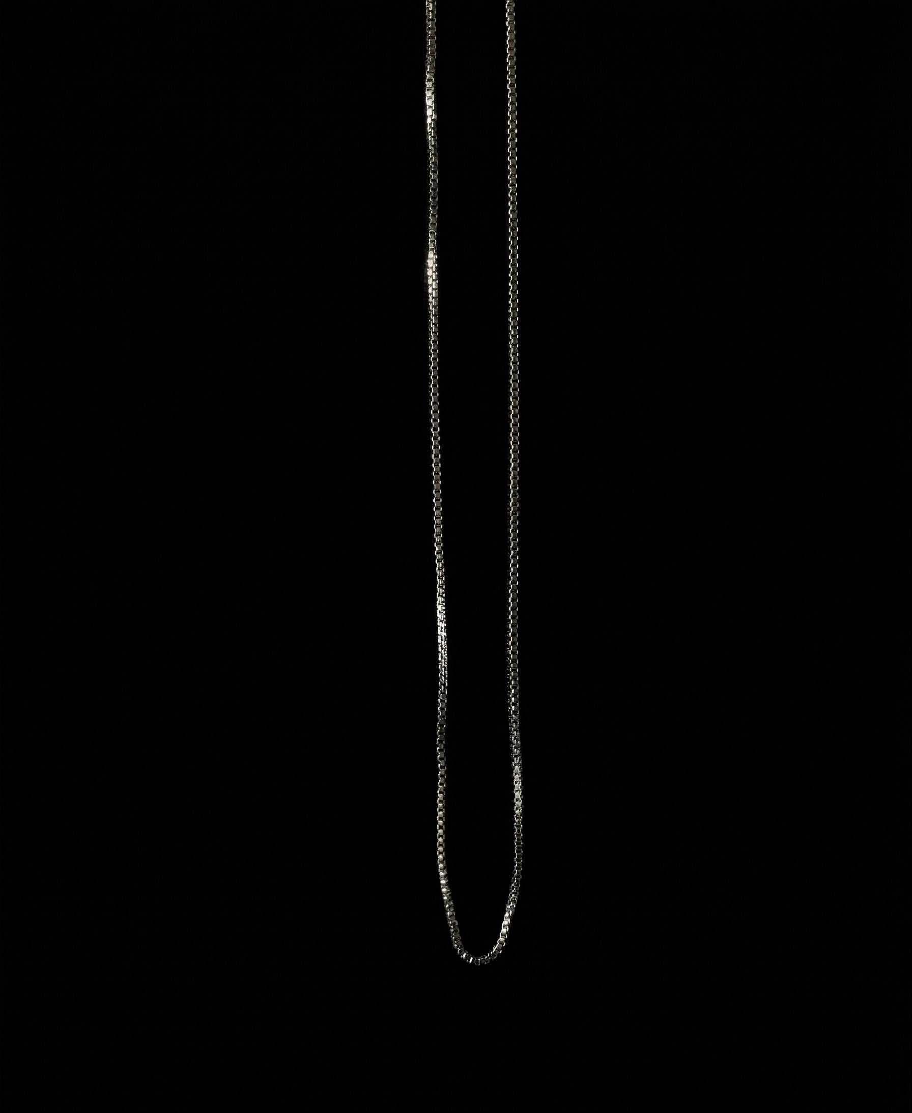 Snake Necklace - Stainless Steel